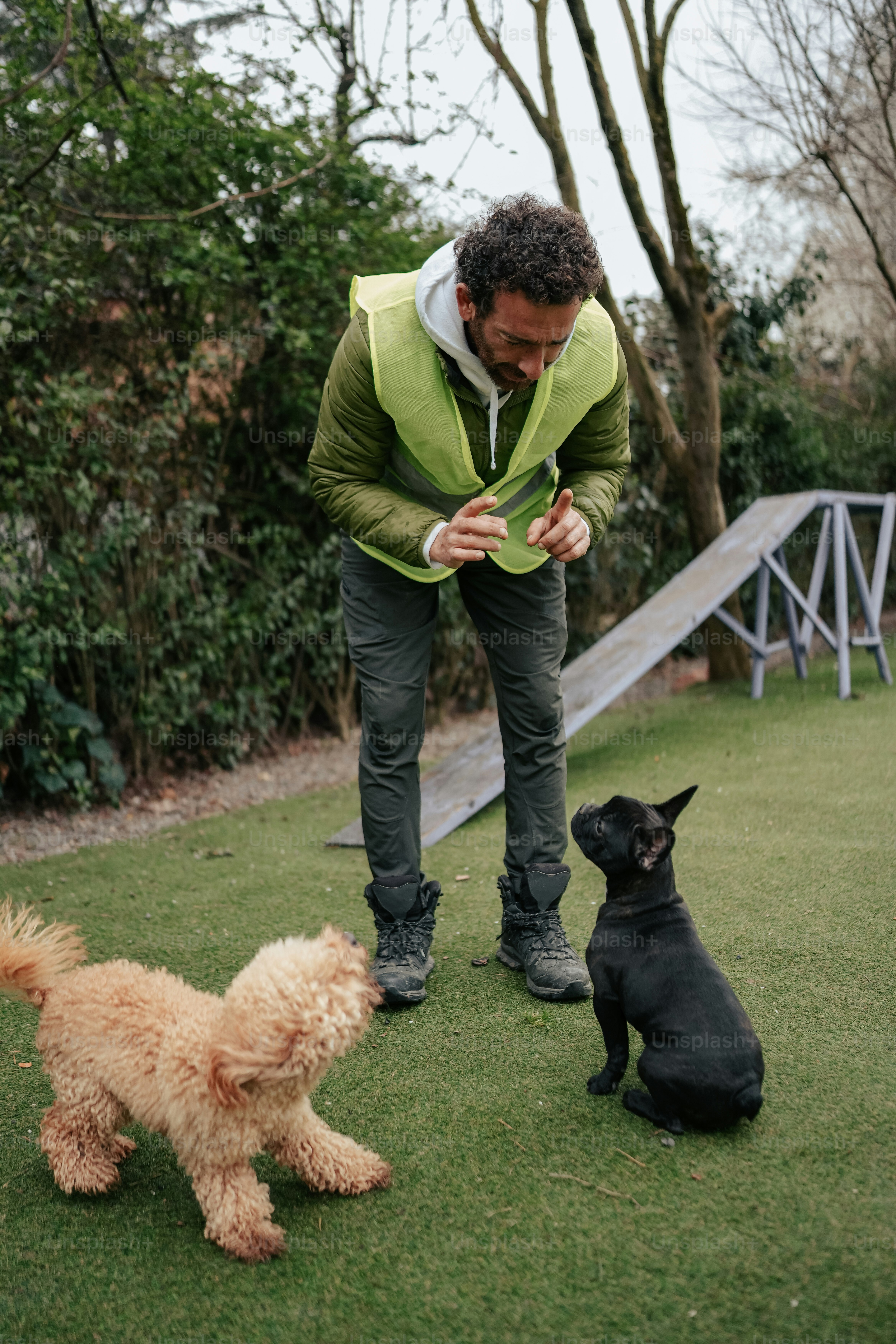 a man playing with two dogs in a yard