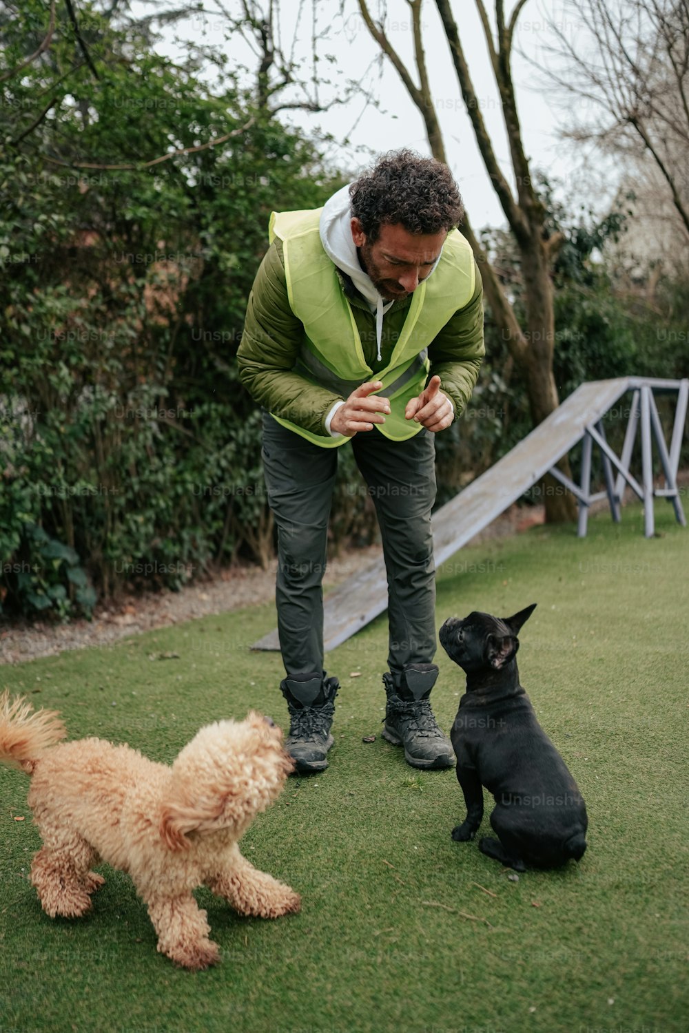 a man playing with two dogs in a yard