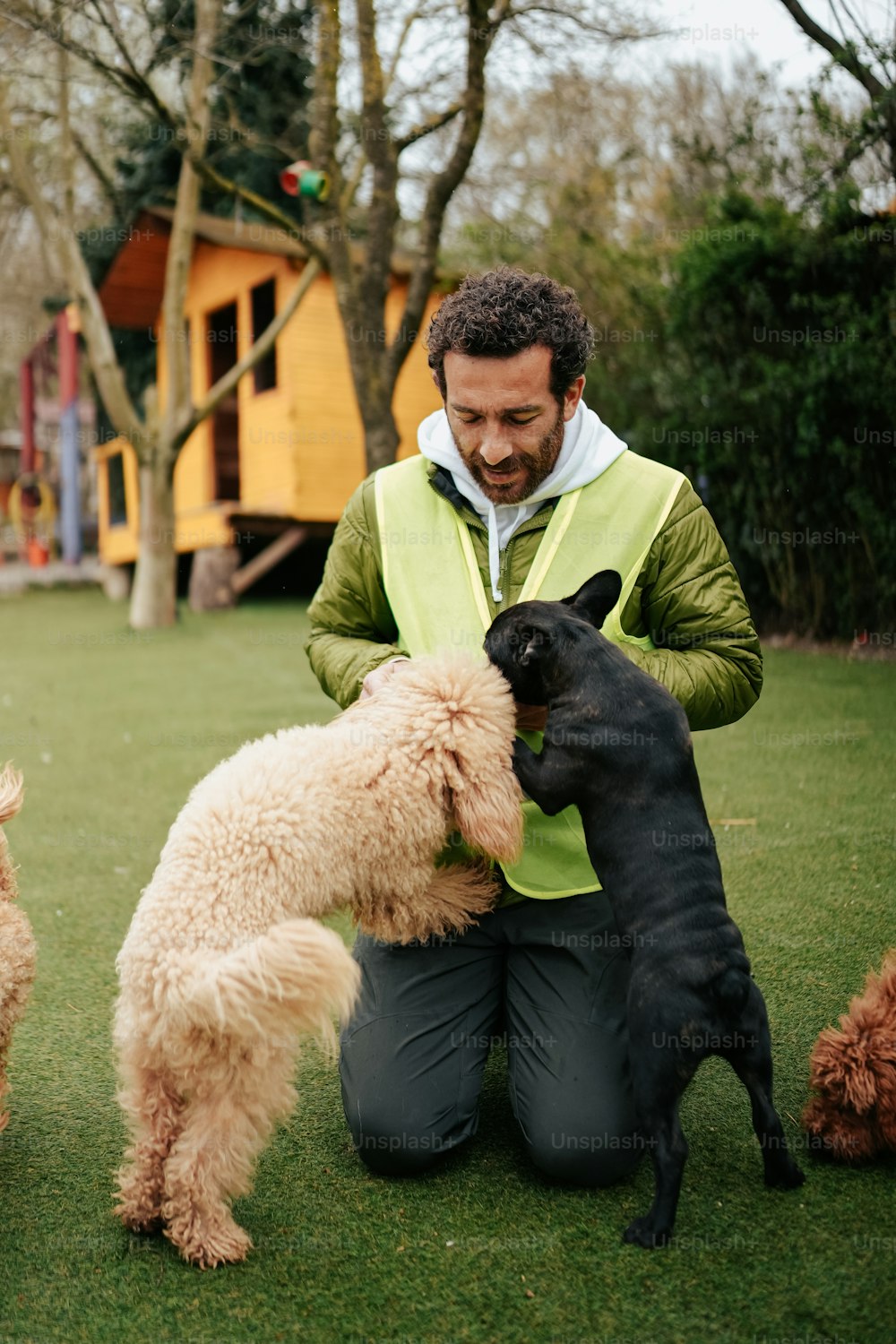 a man kneeling down with four dogs in a yard