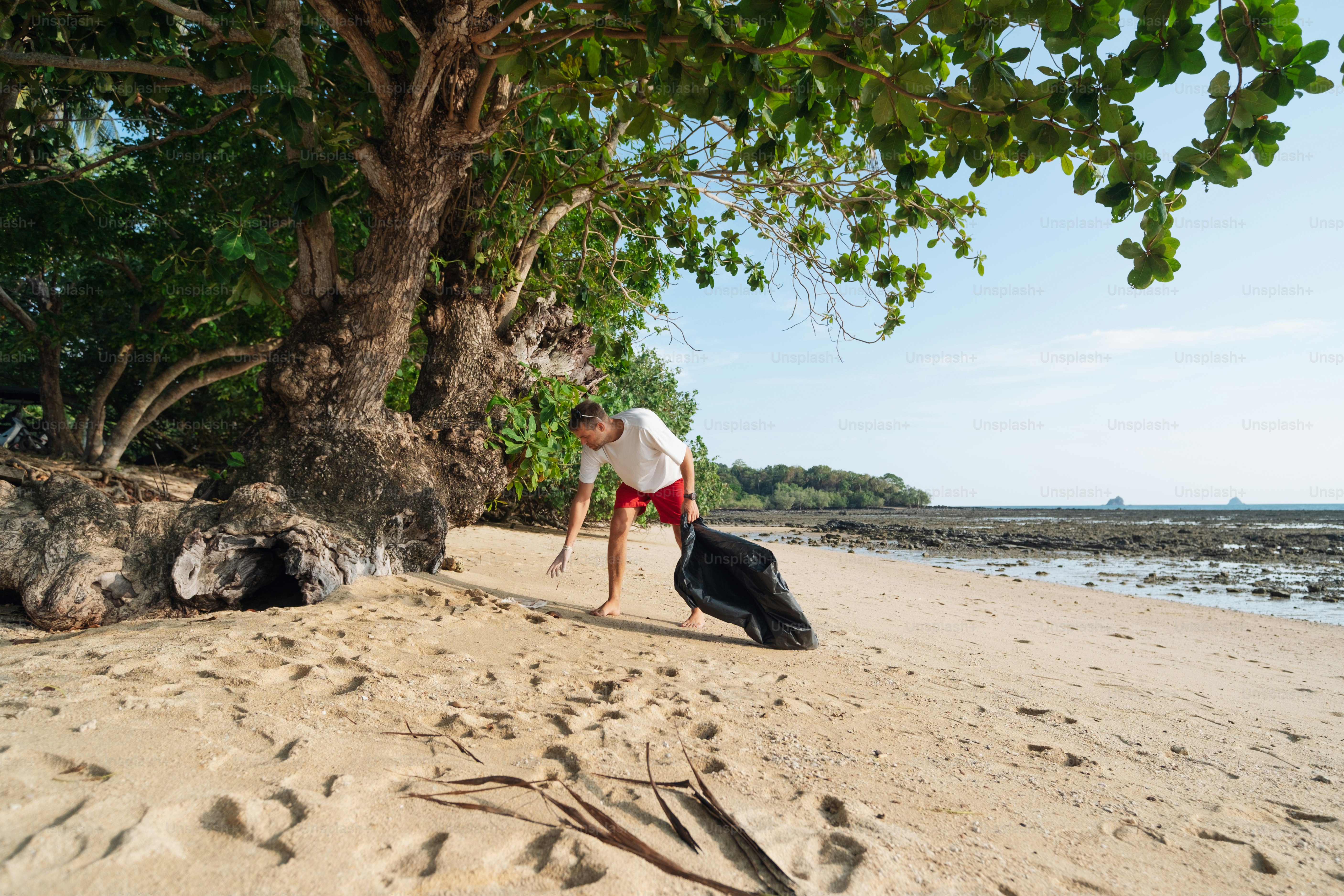 a man standing on a beach next to a tree