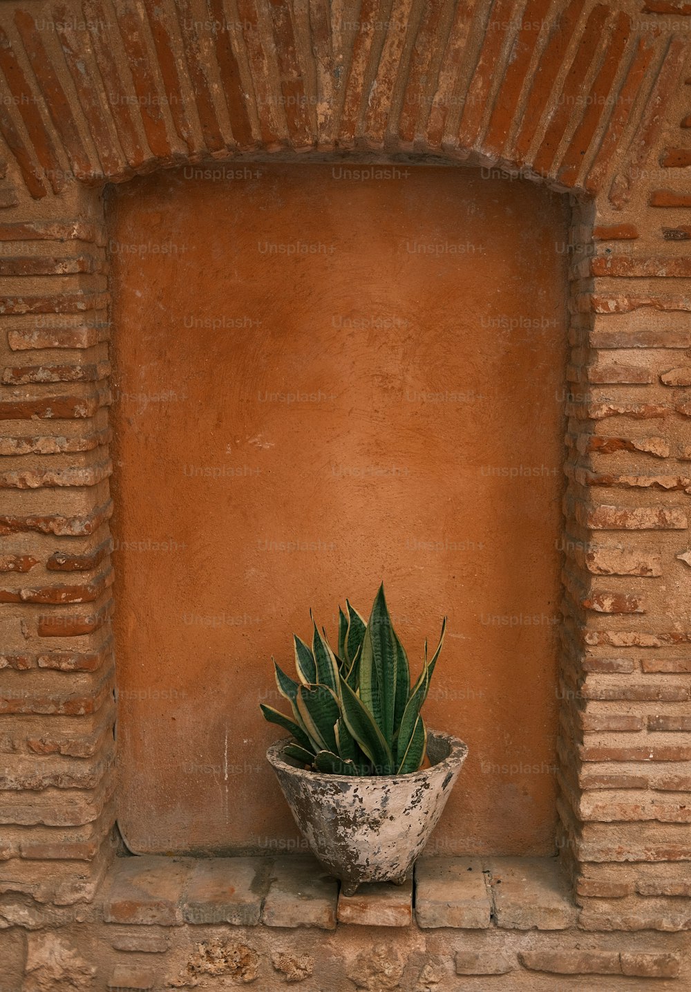 eine Topfpflanze, die auf einer Ziegelmauer sitzt