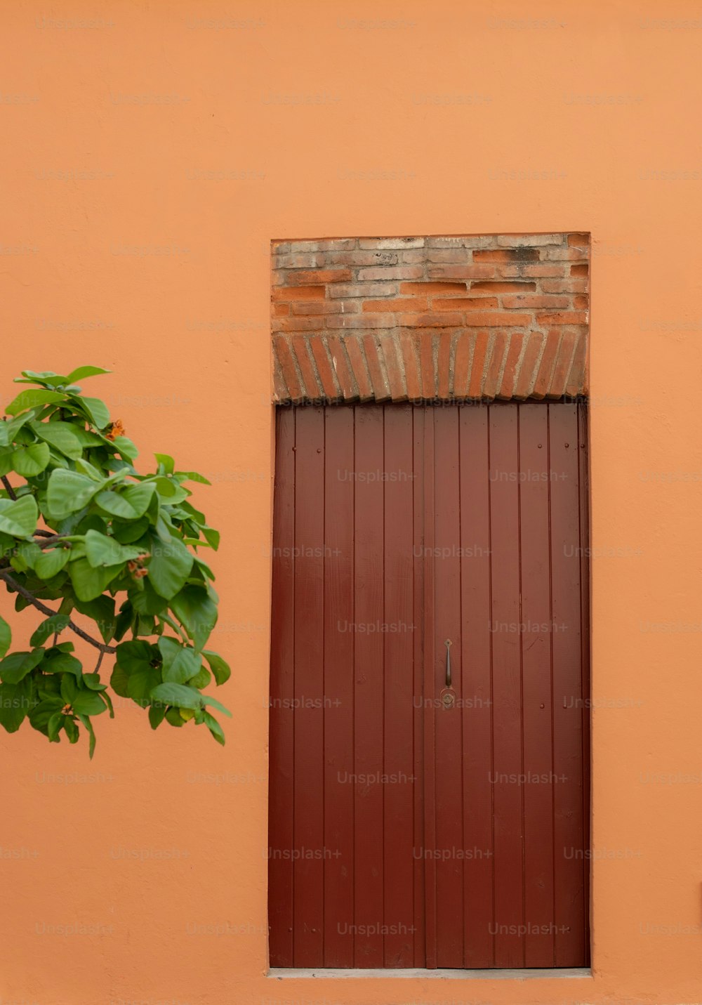 a red door and window with a plant in front of it