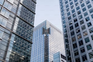 나란히 있는 고층 건물 그룹