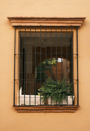 a potted plant sitting in a window sill