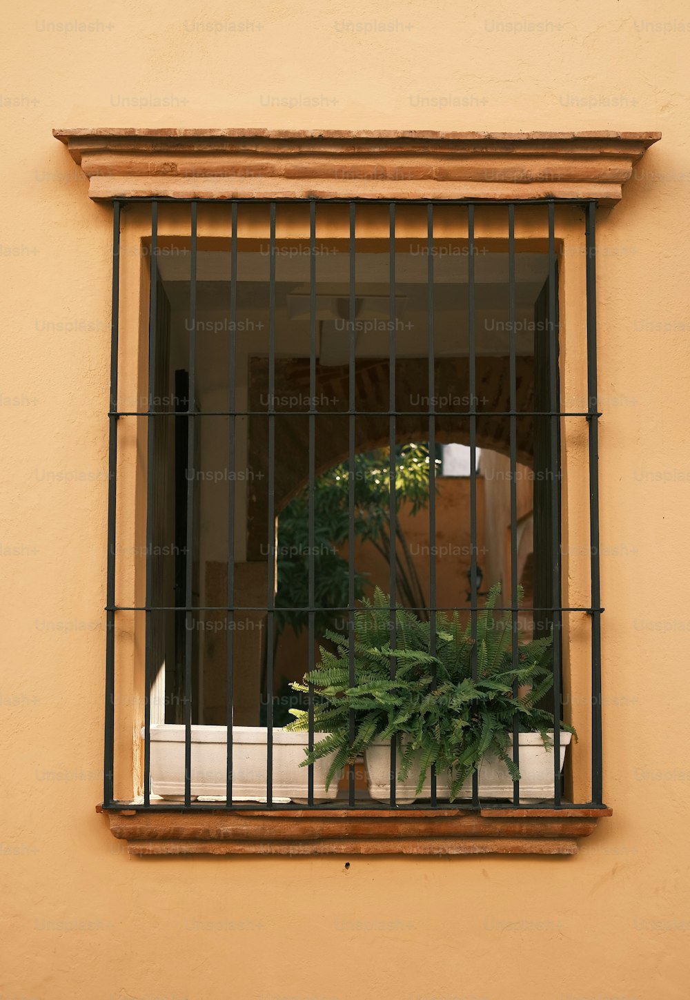 una pianta in vaso seduta in un davanzale della finestra