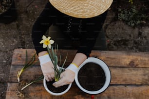 麦わら帽子をかぶった女性が鉢植えの植物を��持つ