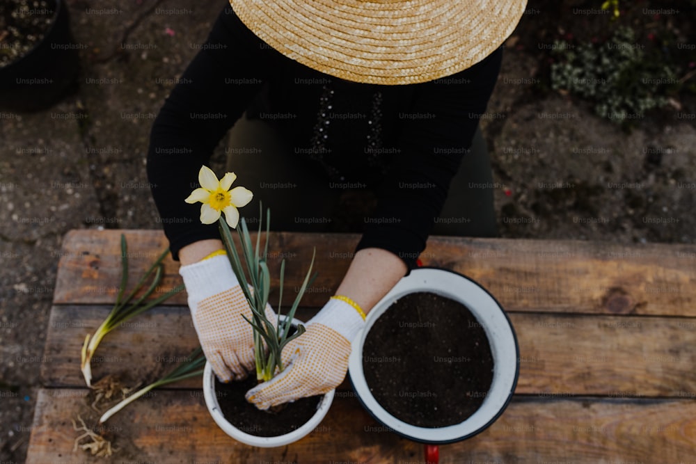 麦わら帽子をかぶった女性が鉢植えの植物を持つ