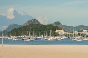 a bunch of boats that are in the water