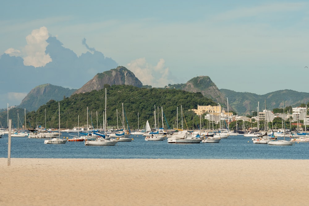 a bunch of boats that are in the water