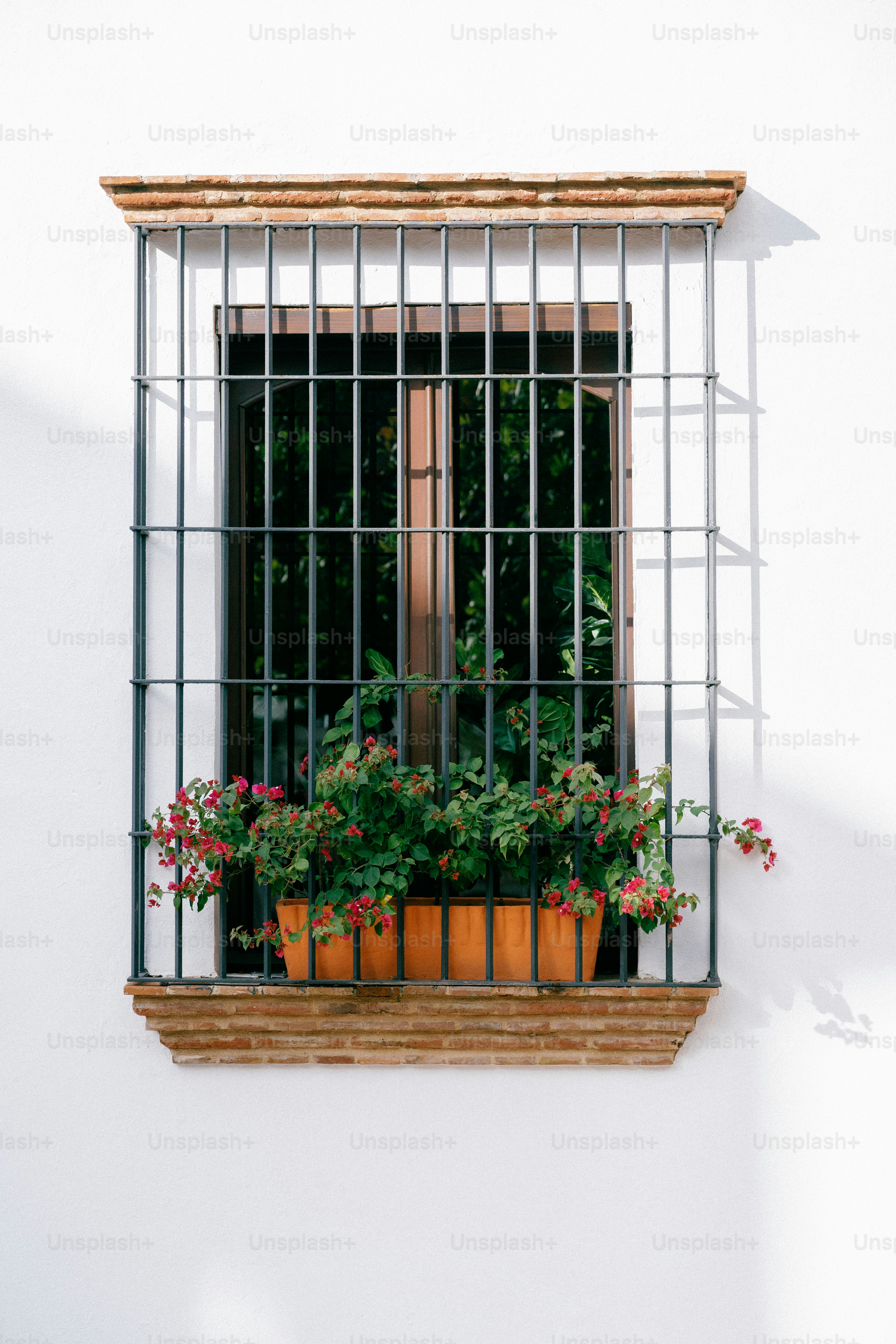 a window that has a bunch of flowers in it