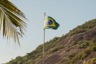 a flag on a pole with a mountain in the background