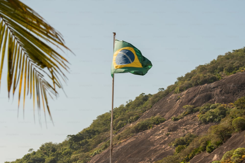 Una bandera en un poste con una montaña en el fondo