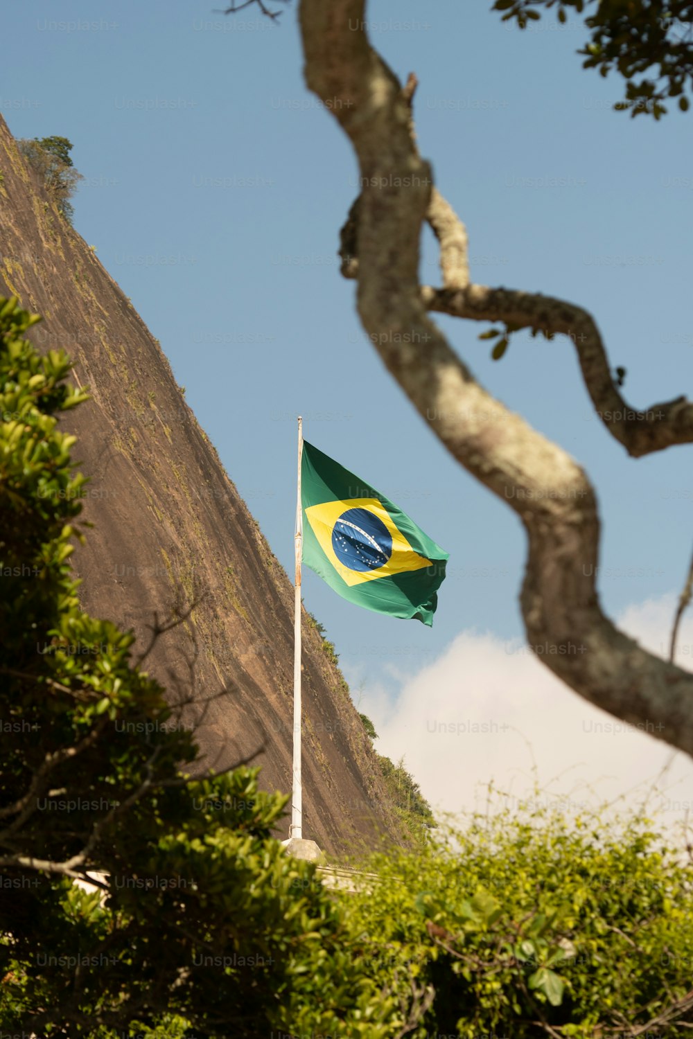 Un drapeau flottant au vent à côté d’un arbre