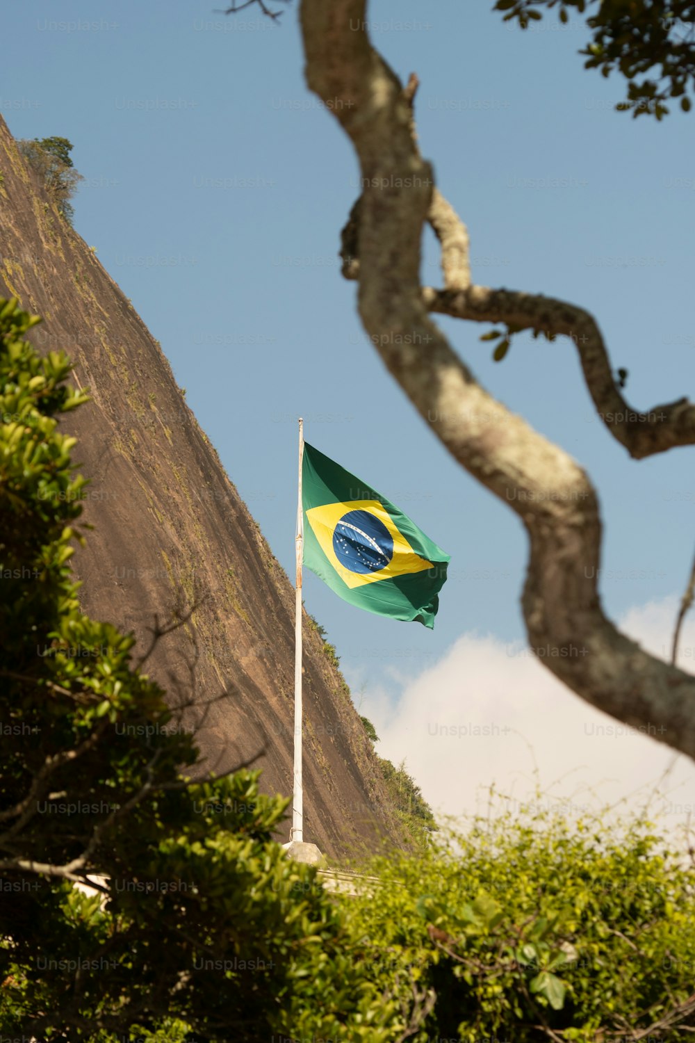 a flag flying in the wind next to a tree