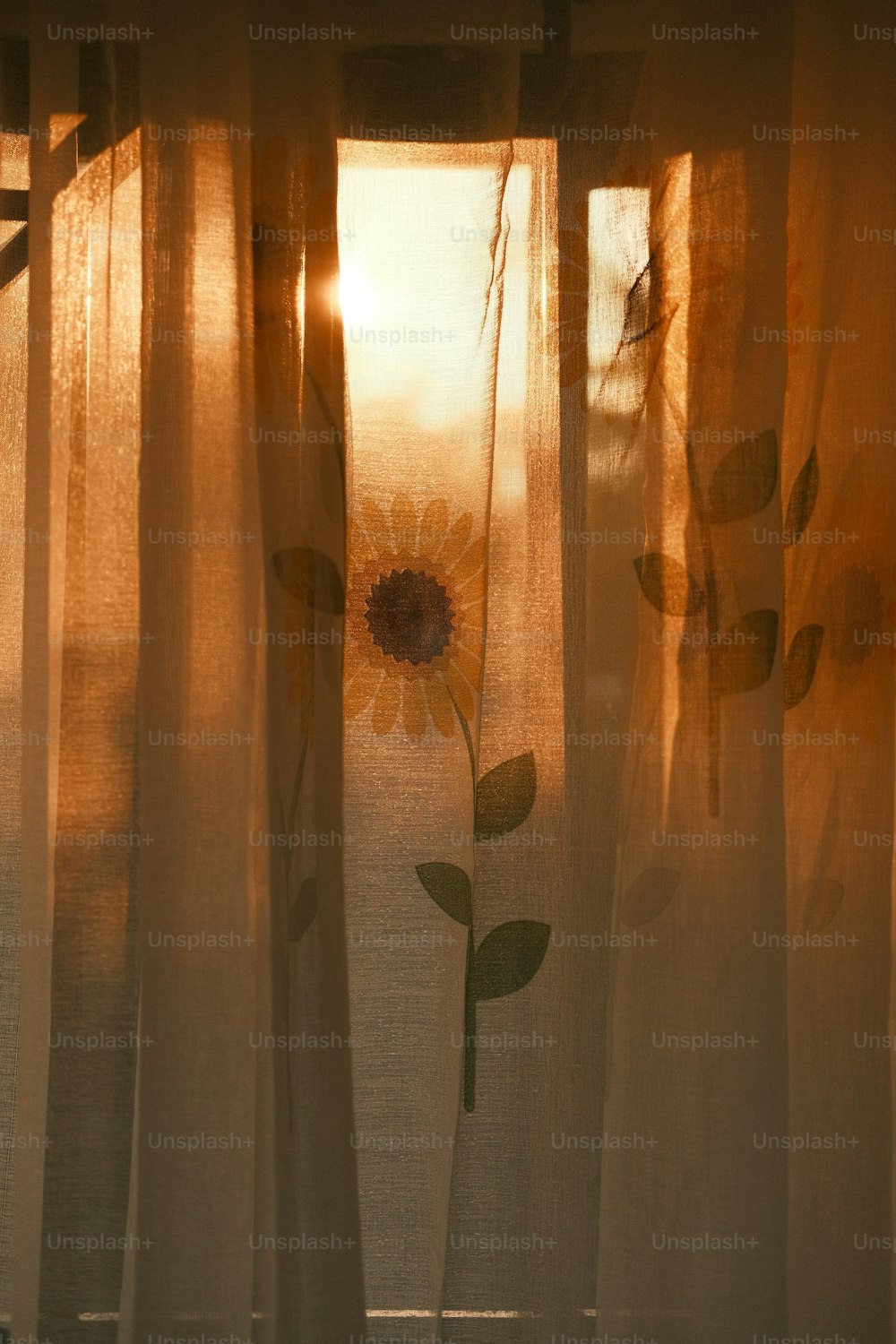 Eine Sonnenblume ist durch die Vorhänge eines Fensters zu sehen