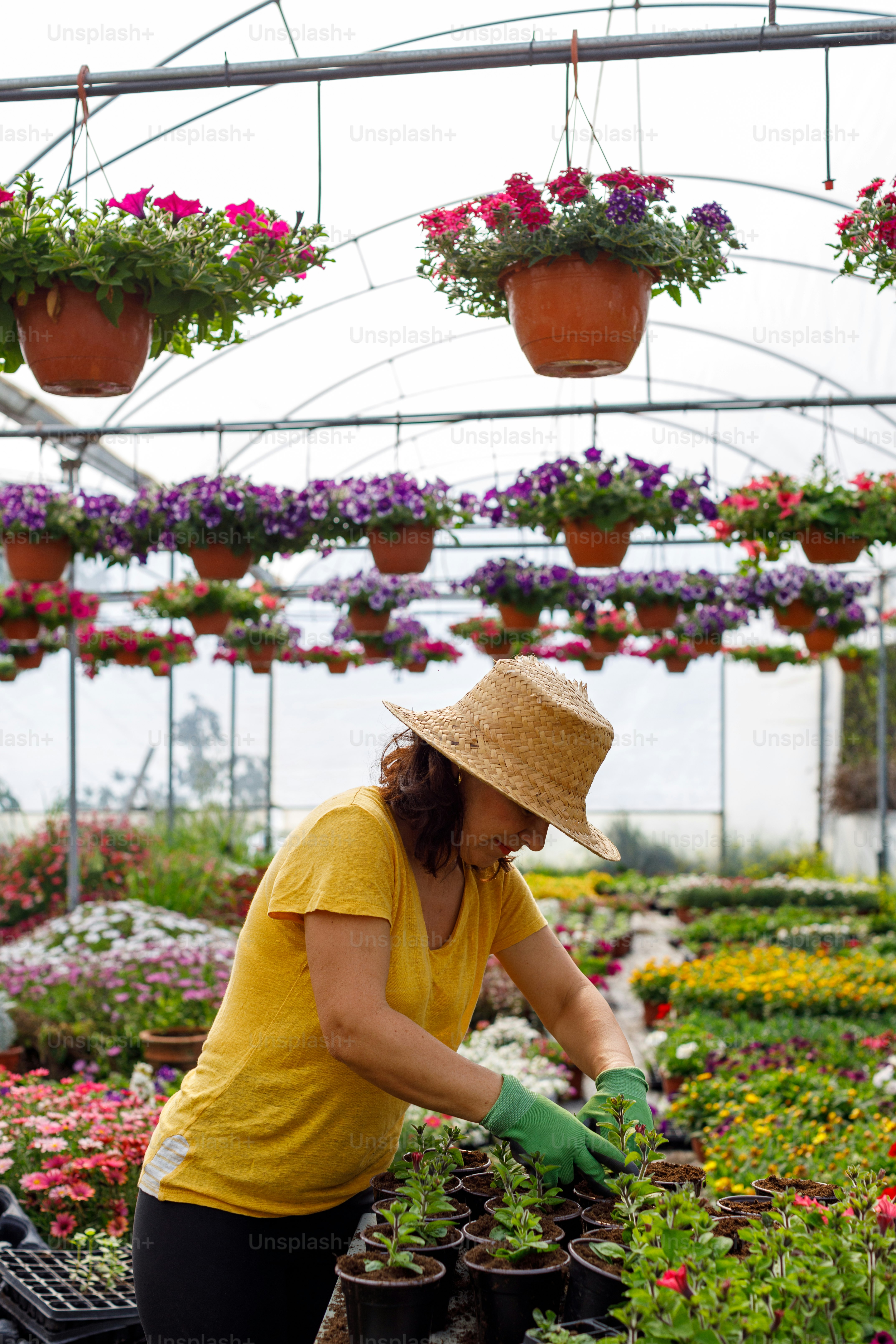 Una donna con una camicia gialla e un cappello che lavora in una serra