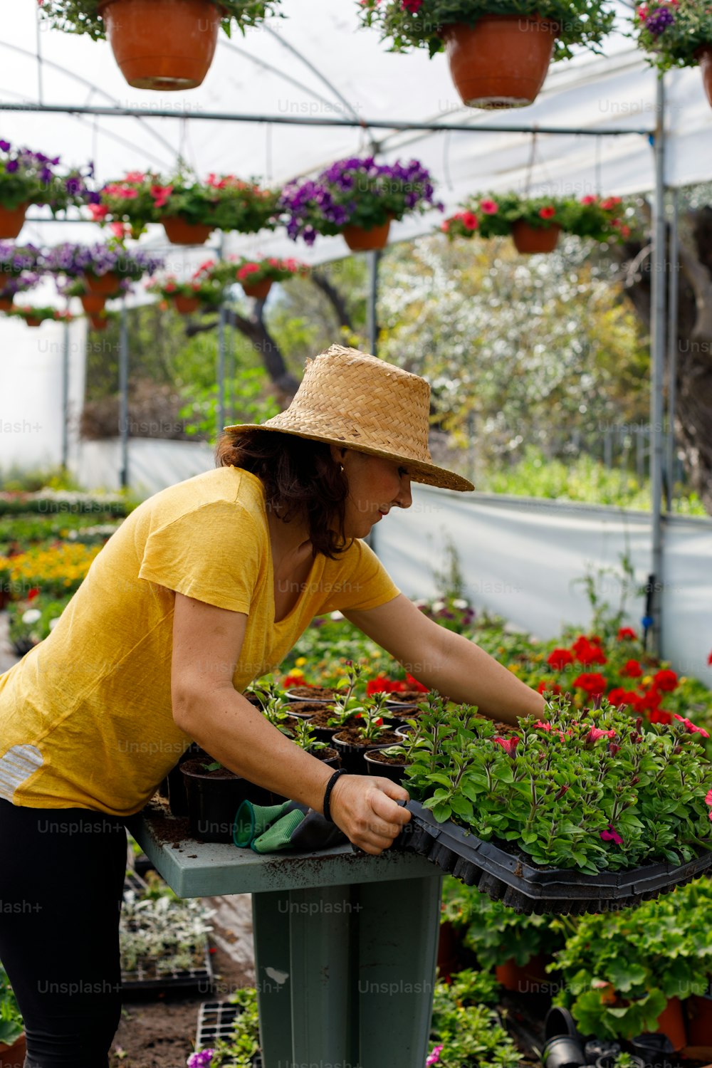 a woman in a yellow shirt and hat working in a greenhouse