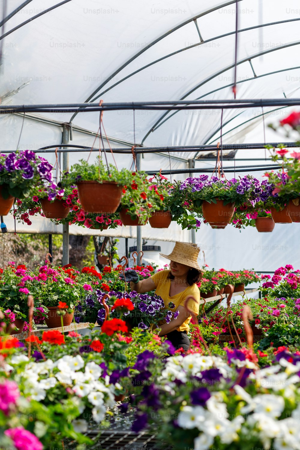 a woman working in a greenhouse filled with flowers