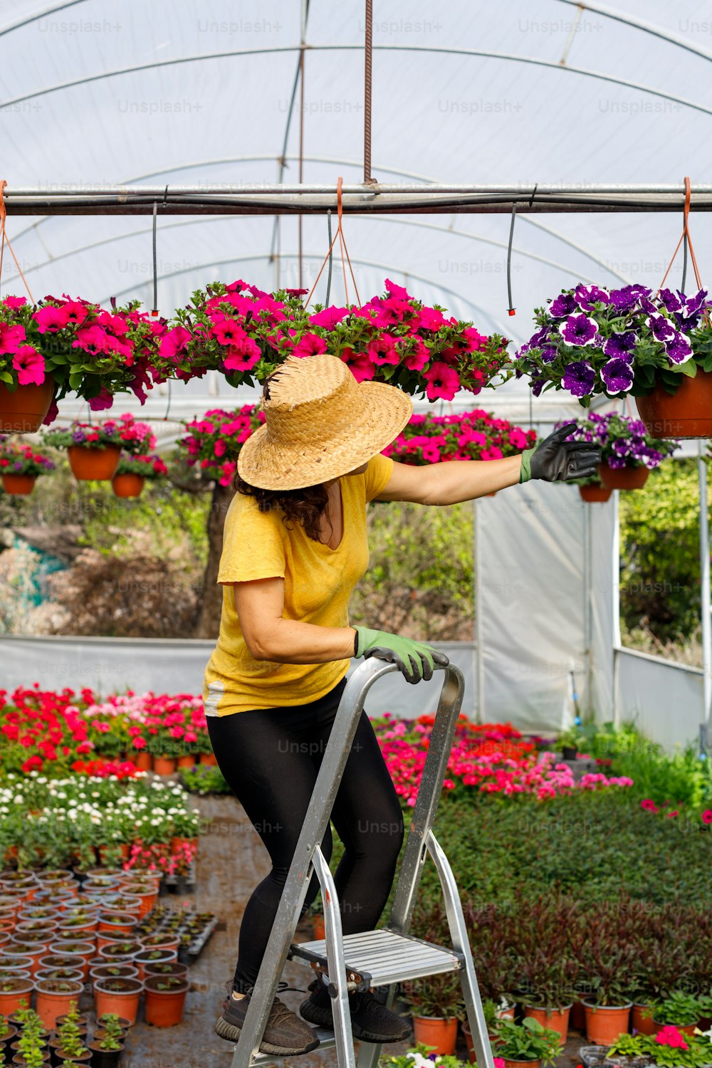 a woman in a yellow shirt and black pants working in a greenhouse