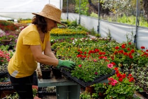 a woman working in a garden center with lots of flowers