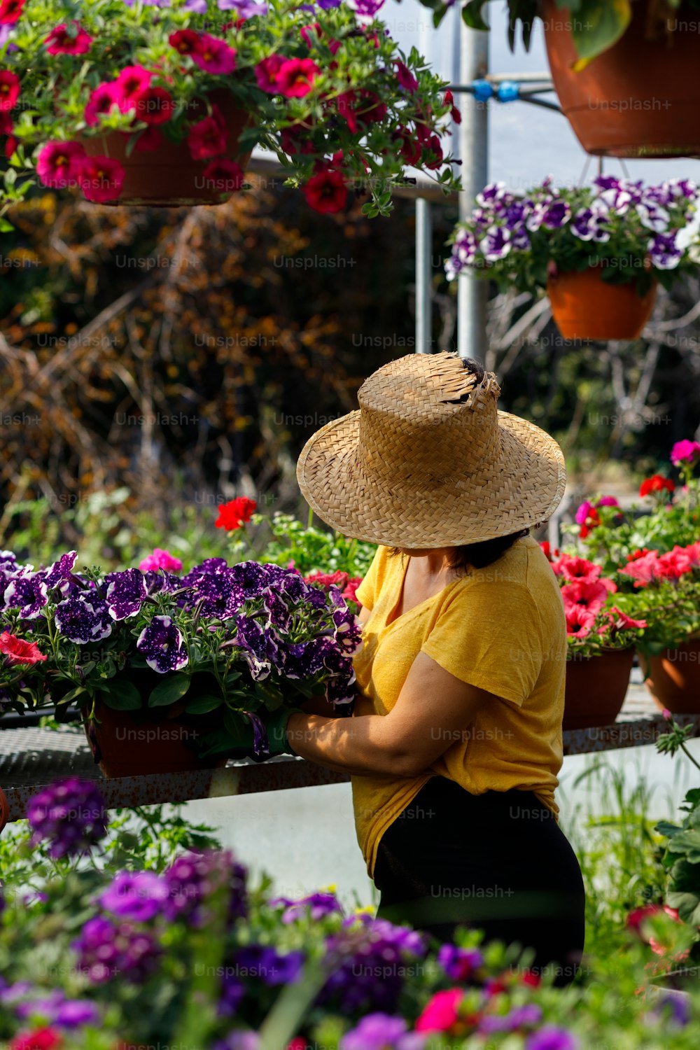 Une femme coiffée d’un chapeau de paille s’occupant des fleurs