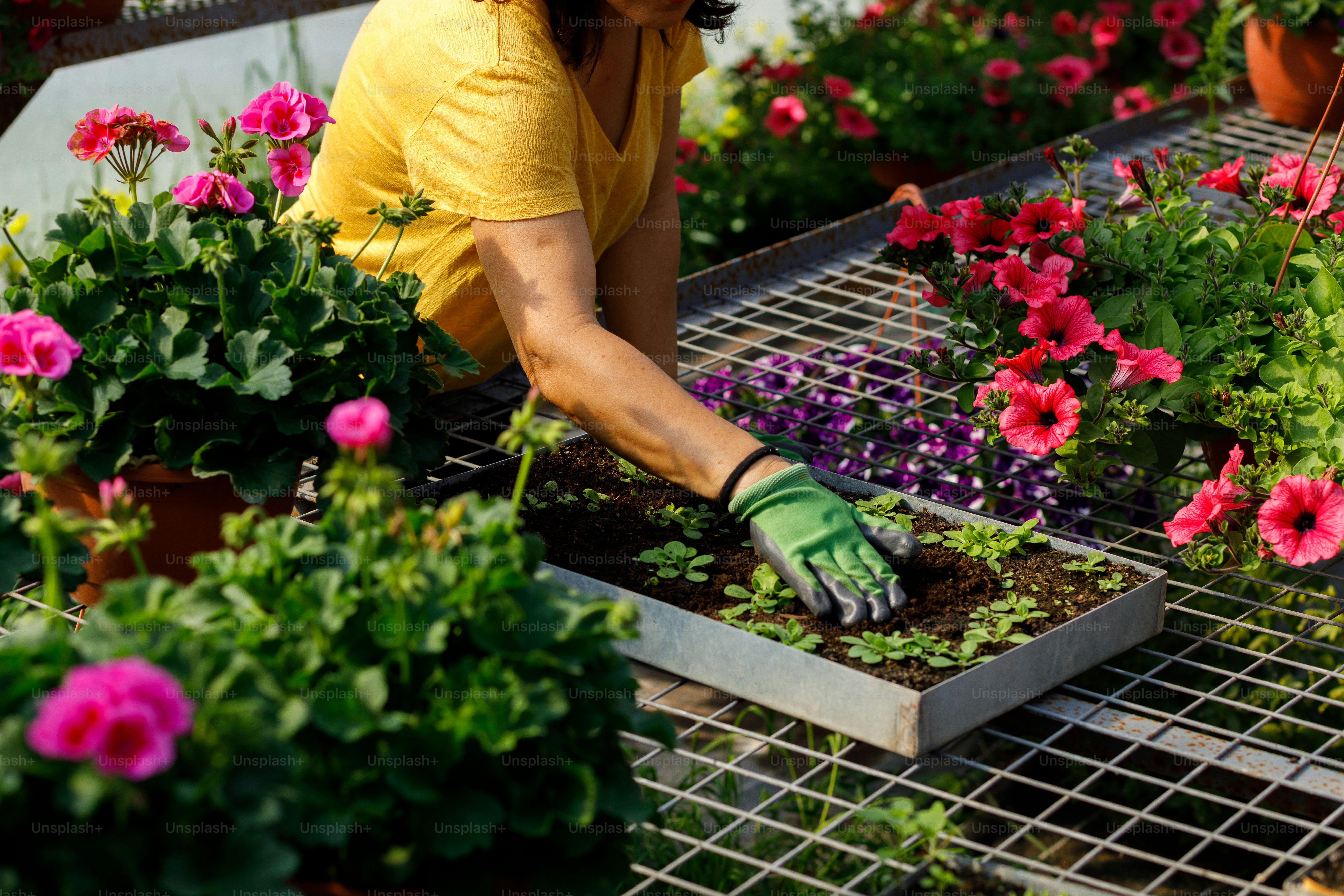 Una donna che lavora in un centro di giardinaggio con fiori