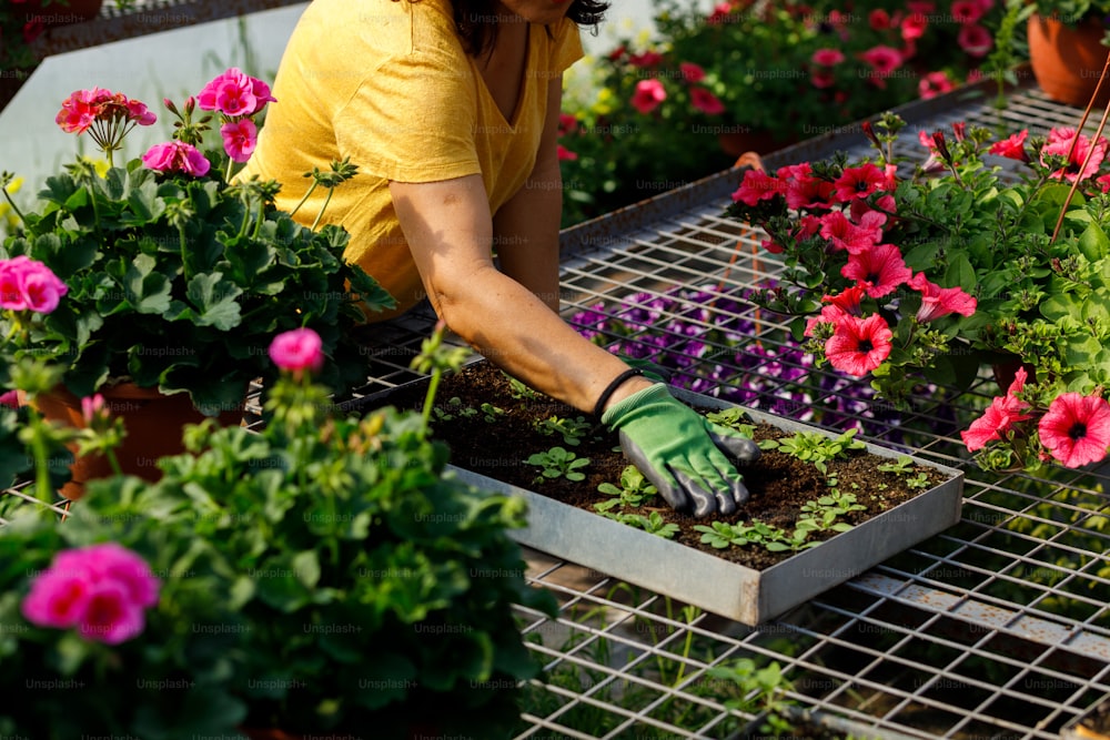uma mulher que trabalha em um centro de jardim com flores