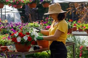 Eine Frau in gelbem Hemd und Hut bei der Arbeit in einem Gewächshaus