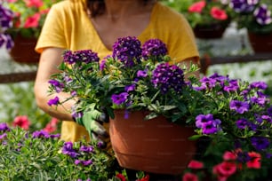 紫色の花を持つ鉢植えの植物を持つ女性