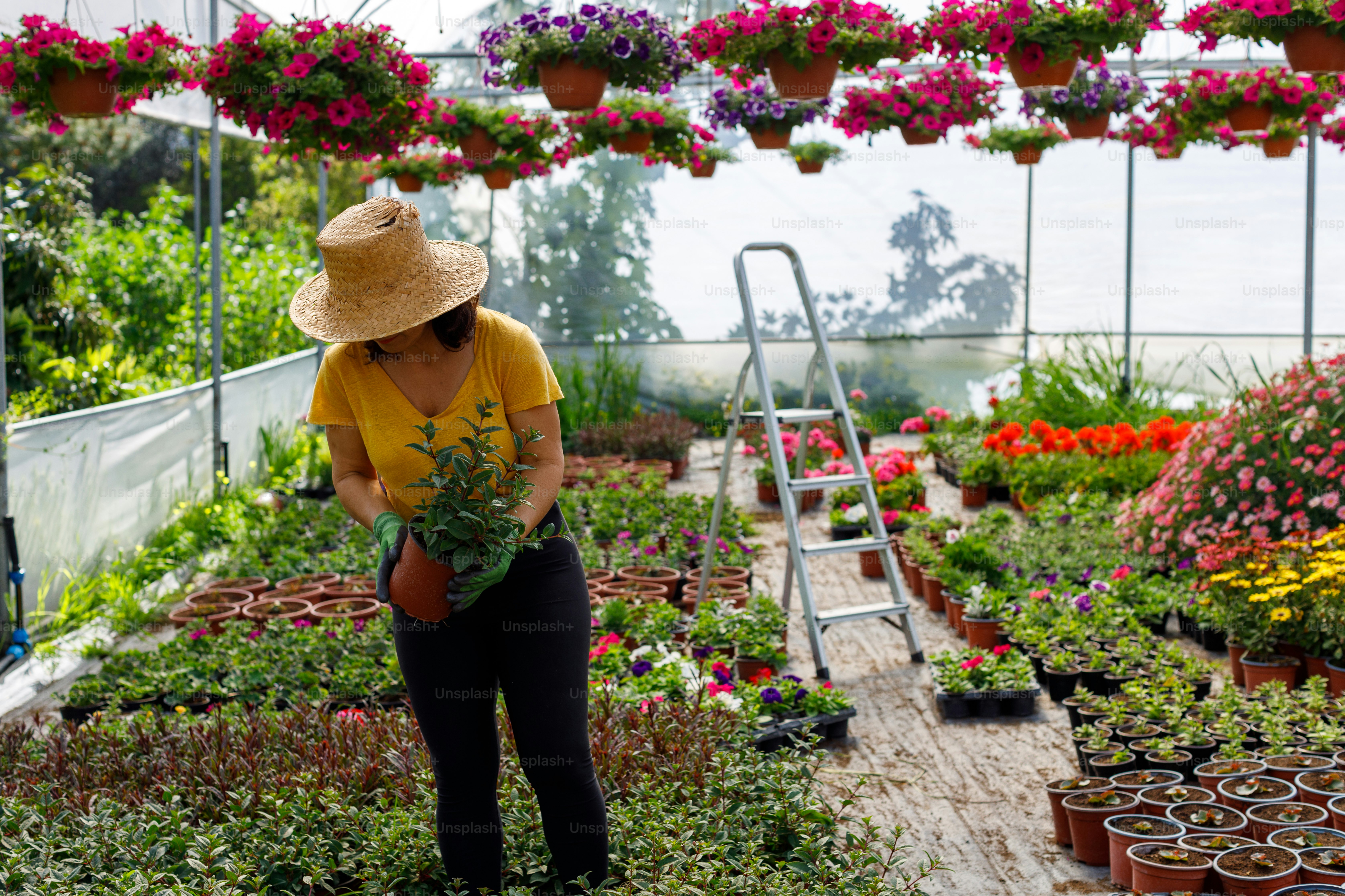 a woman holding a plant in a greenhouse
