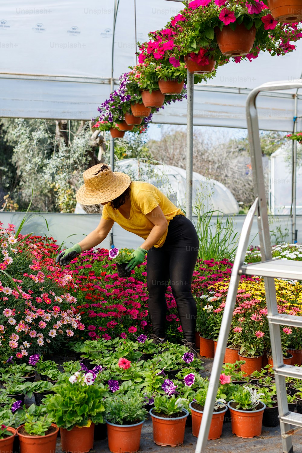 a woman in a yellow shirt and straw hat tending to flowers
