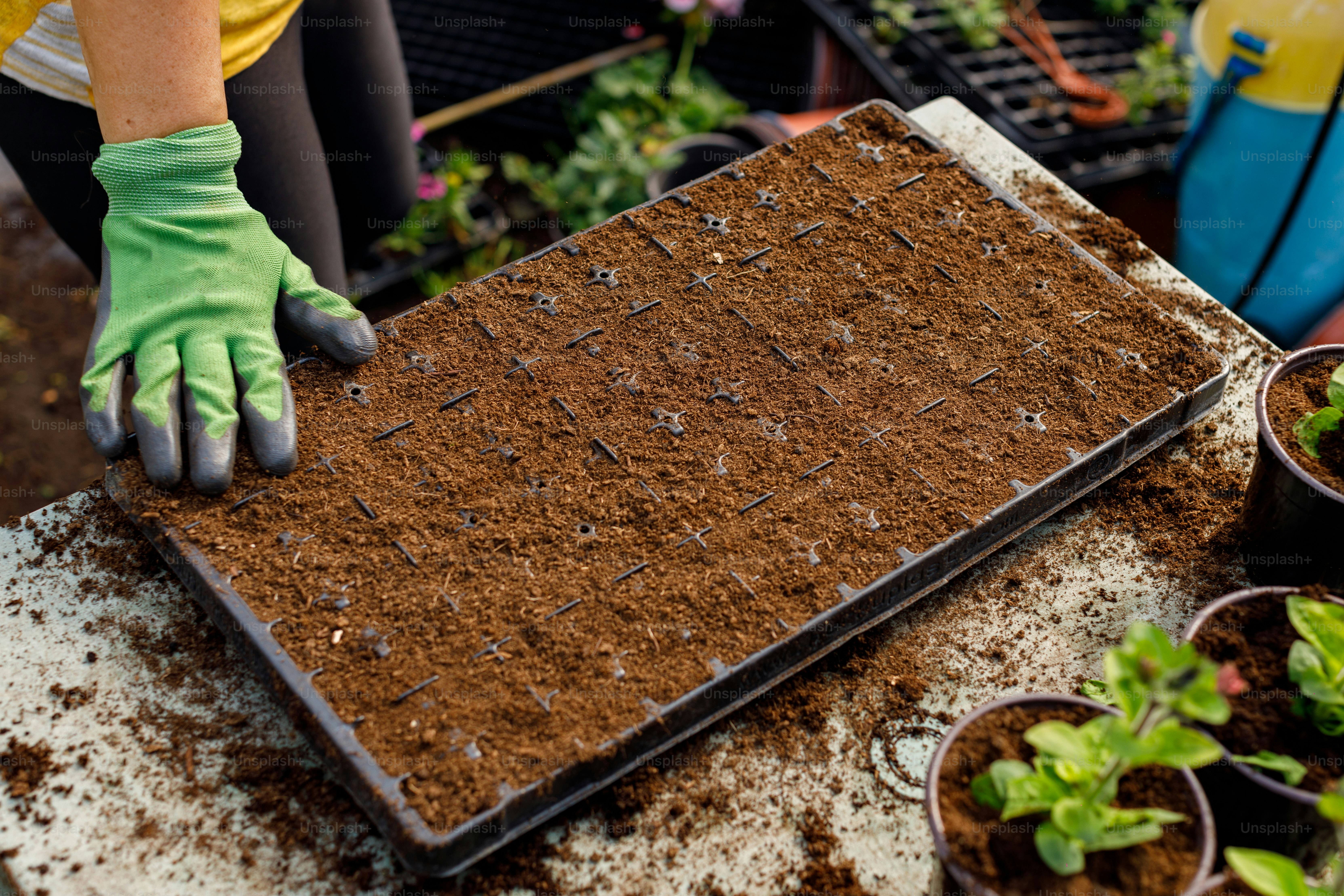 a person wearing green gloves and gardening gloves