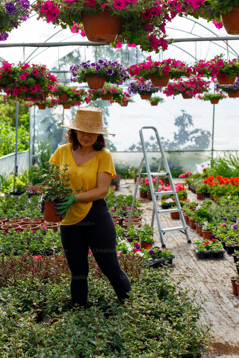 a woman holding a potted plant in a greenhouse