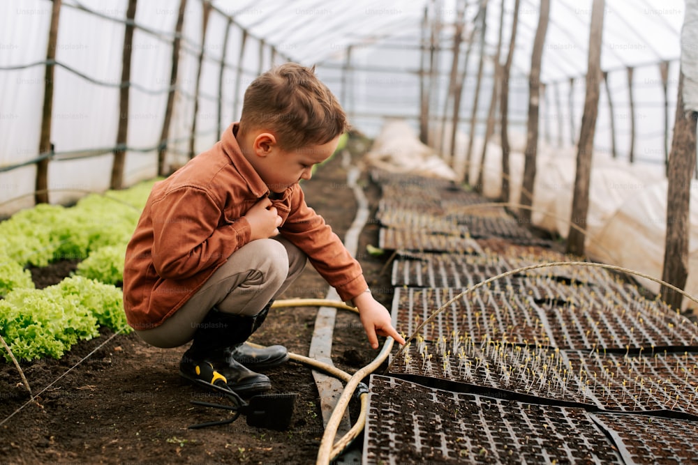 a young boy kneeling down in a greenhouse