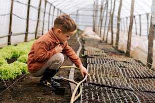 a young boy kneeling down in a greenhouse