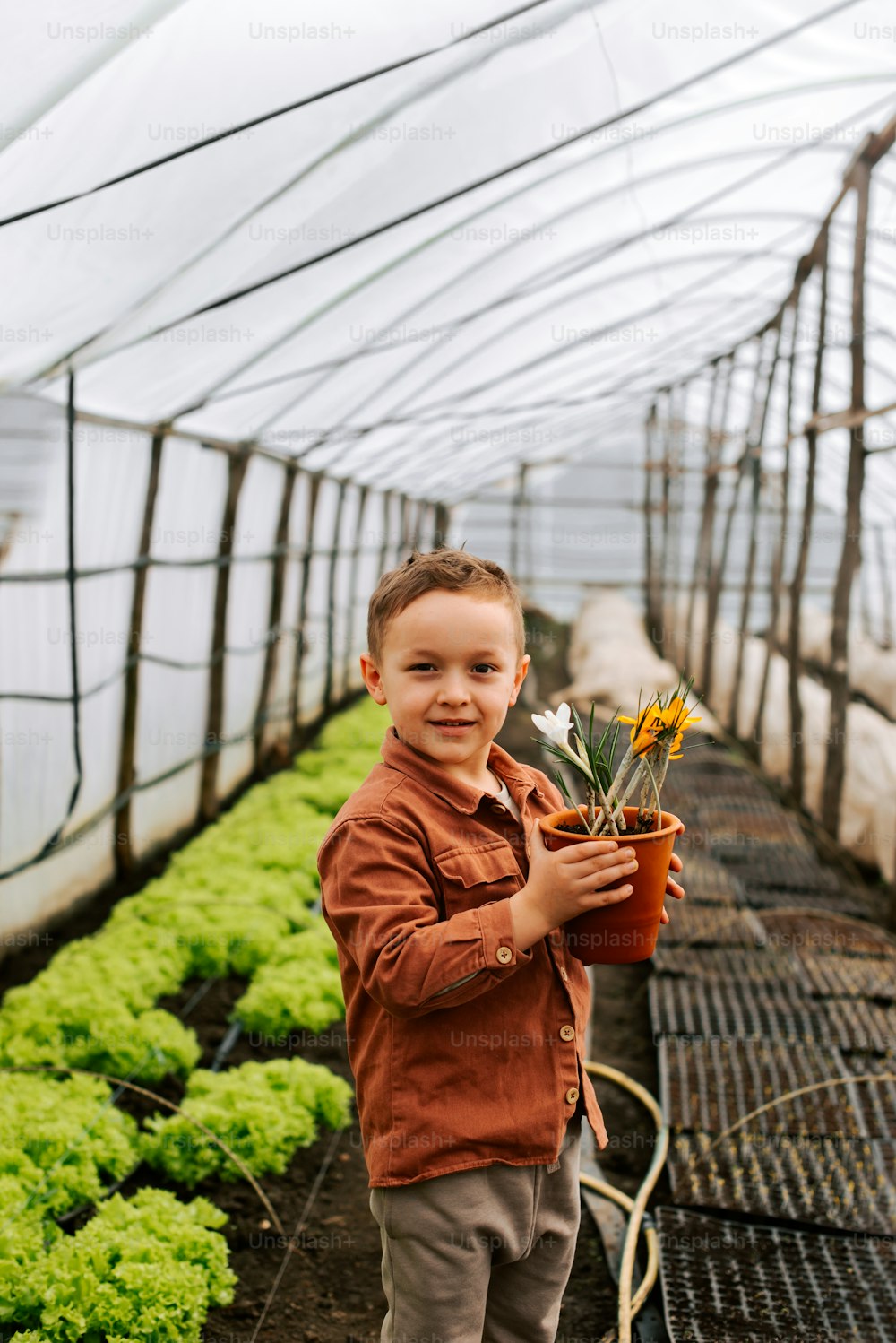 a young boy holding a potted plant in a greenhouse