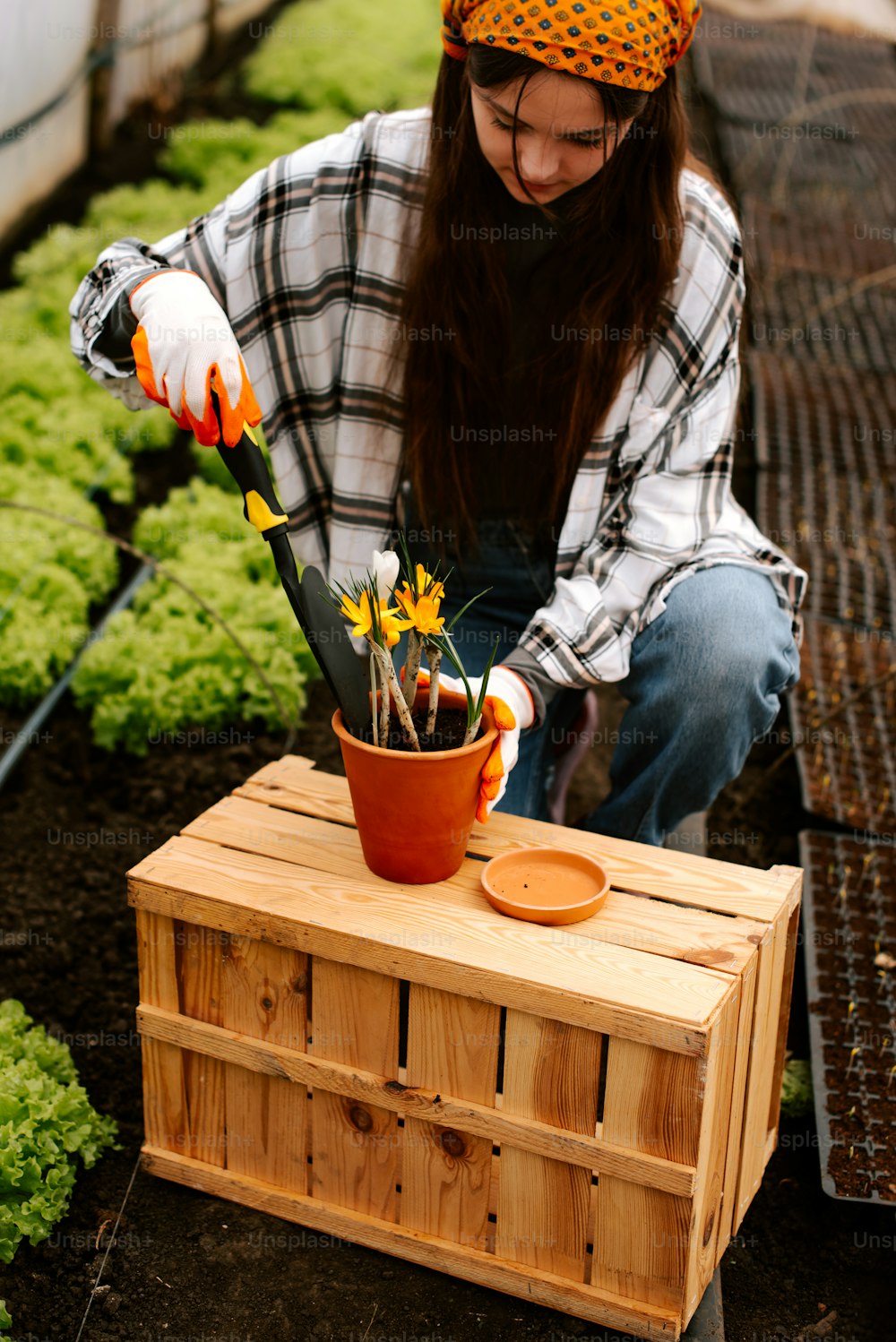 a woman in plaid shirt holding a potted plant