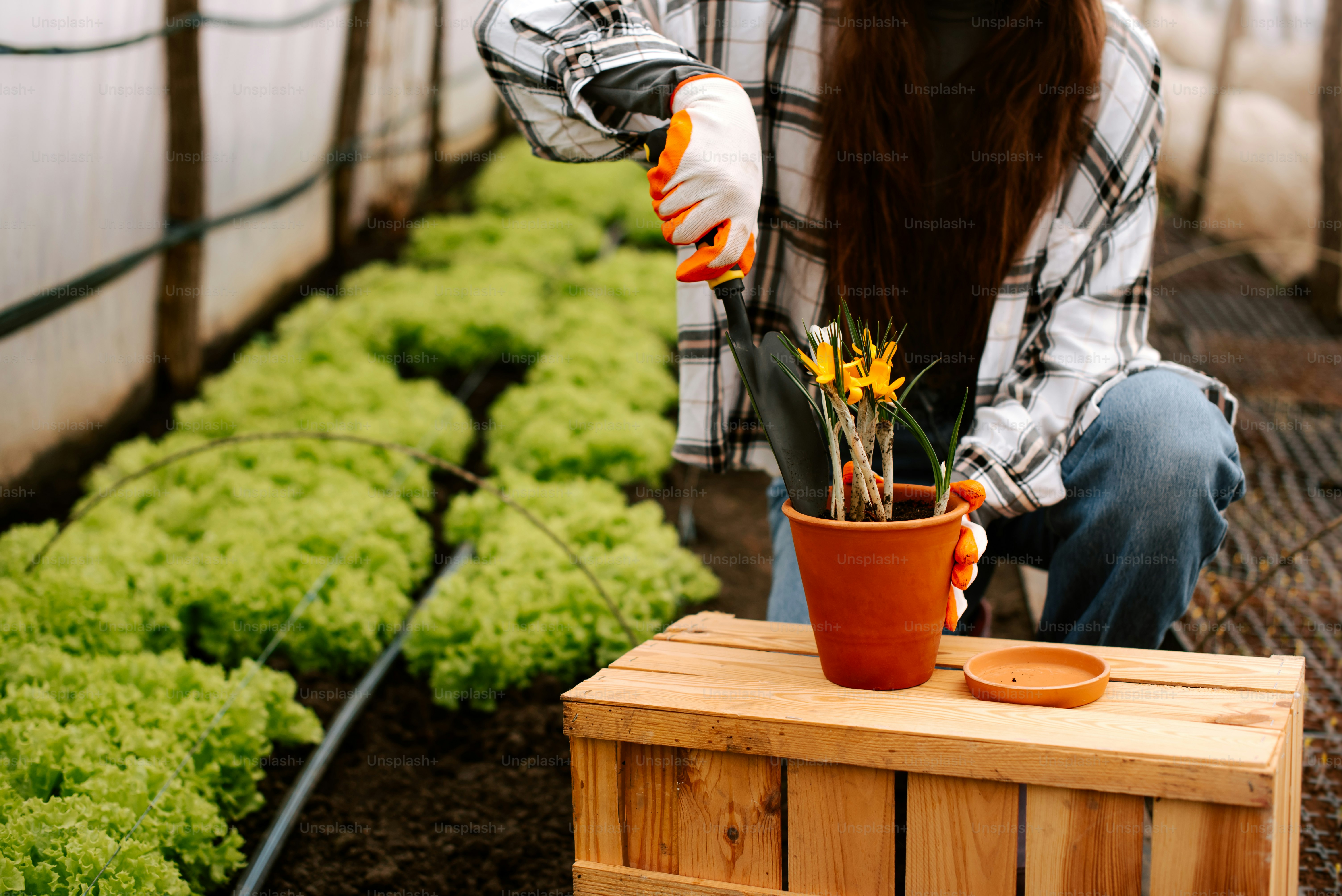 a woman kneeling down next to a potted plant