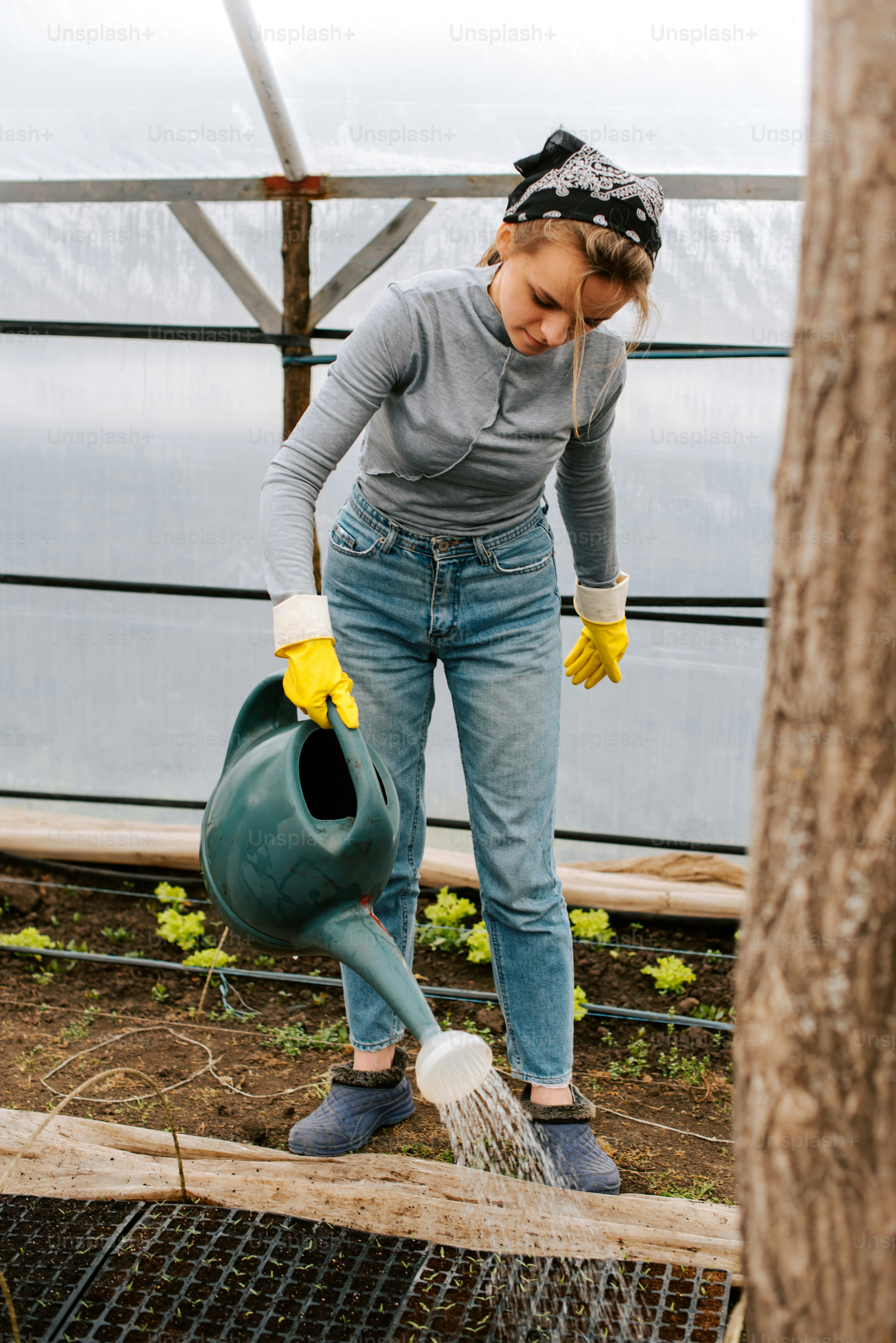 a woman watering plants in a greenhouse