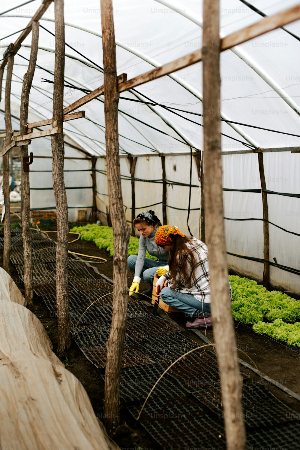 a couple of people kneeling down in a greenhouse