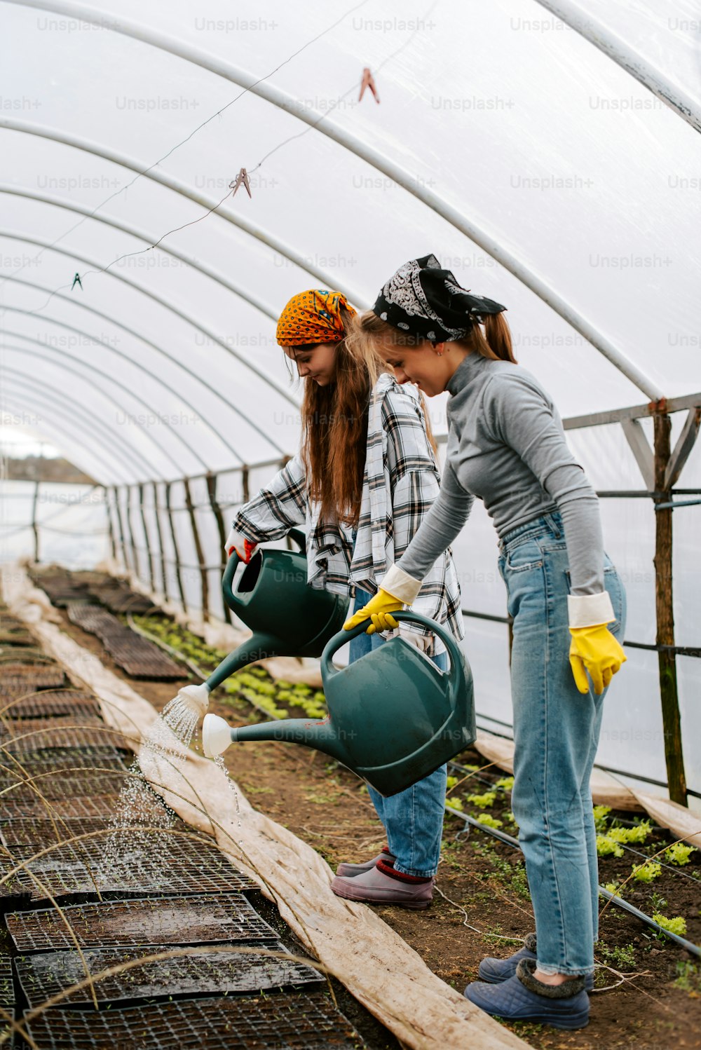 two women are watering plants in a greenhouse