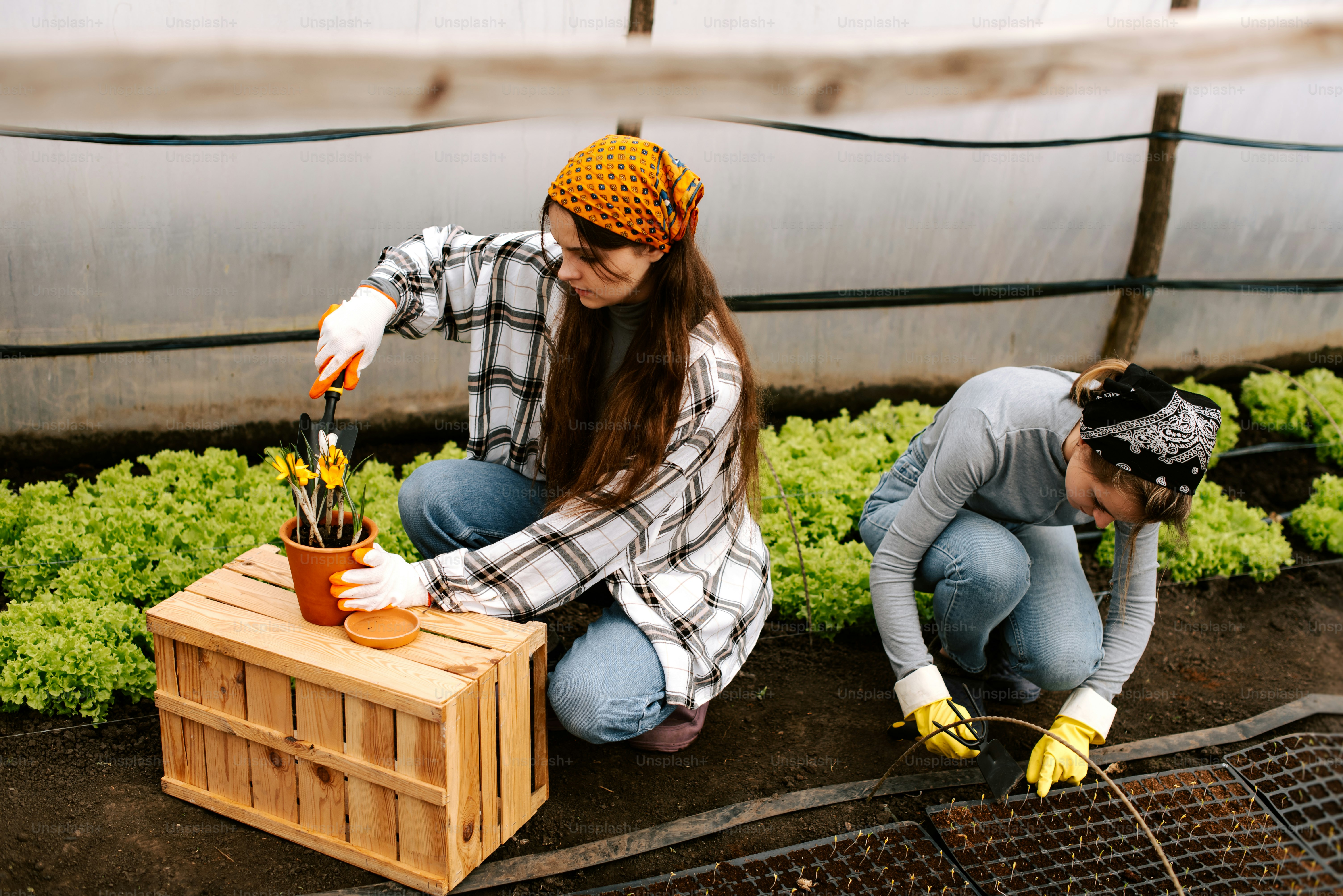 a couple of women kneeling down next to each other