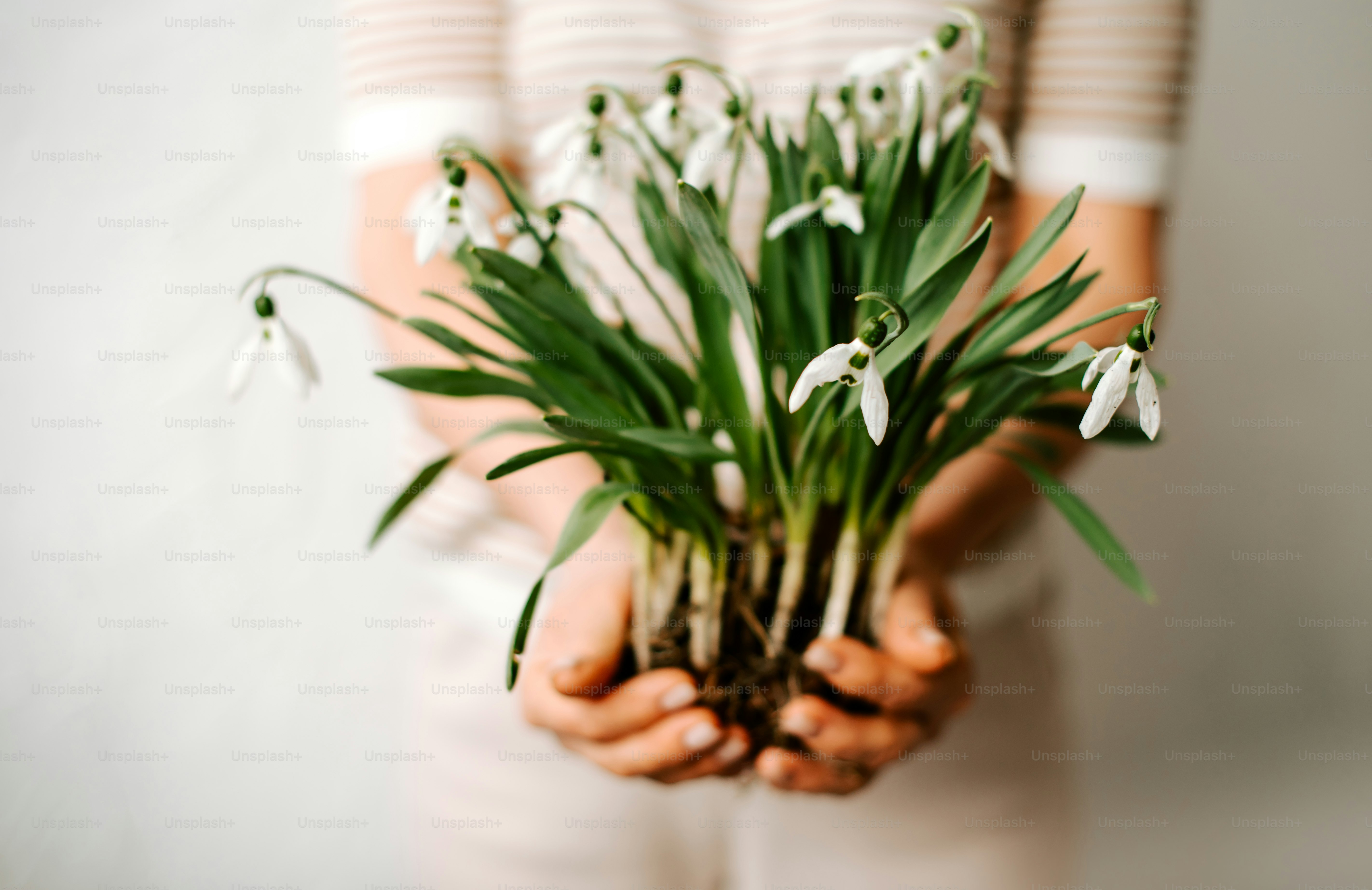 eine Person, die einen Blumenstrauß in den Händen hält