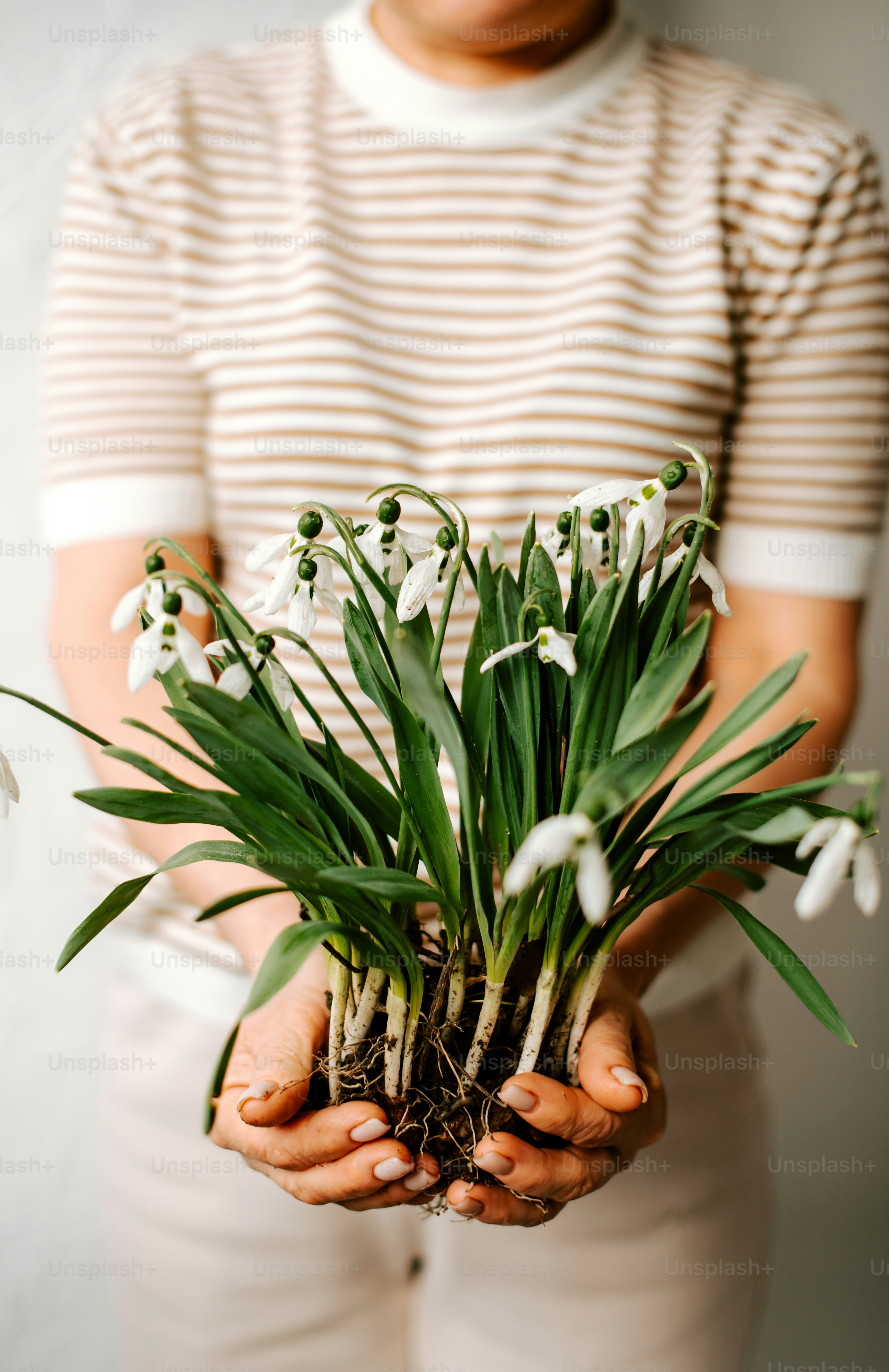 a woman holding a bunch of flowers in her hands