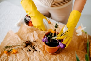 una persona con guantes amarillos y sosteniendo una planta en maceta