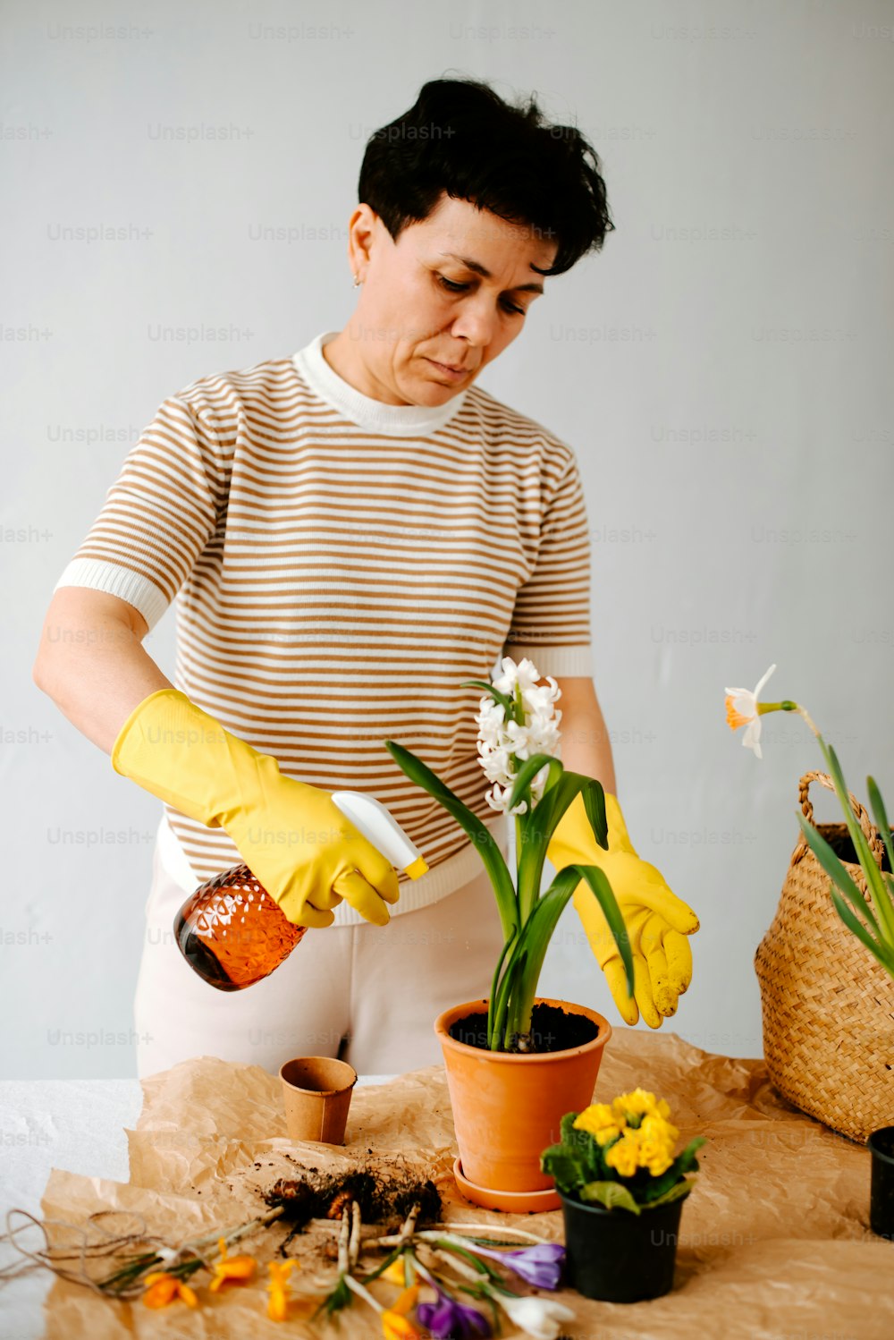 Una mujer con una camisa a rayas y guantes amarillos está pintando una planta en maceta