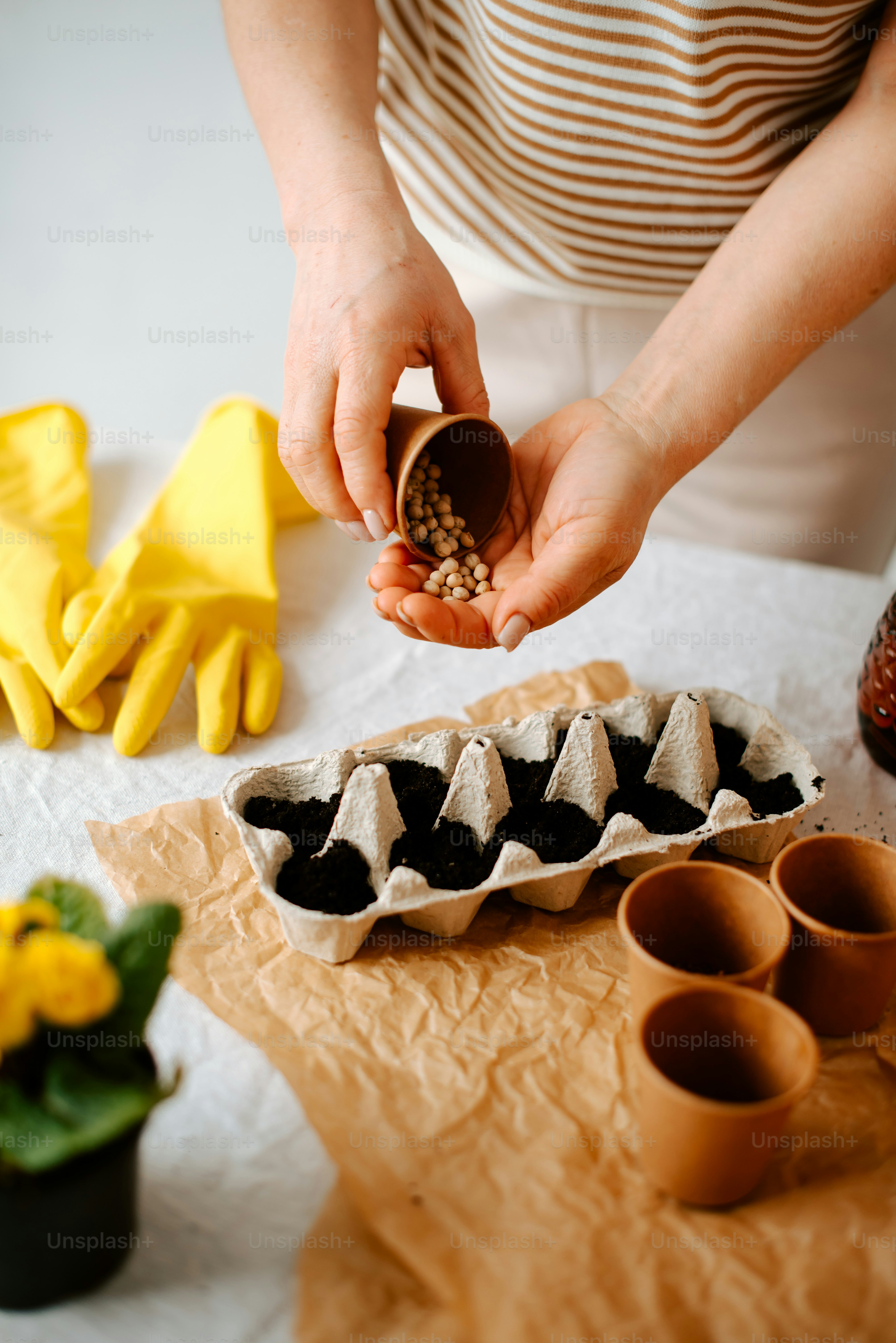 a person putting seeds in a container on a table