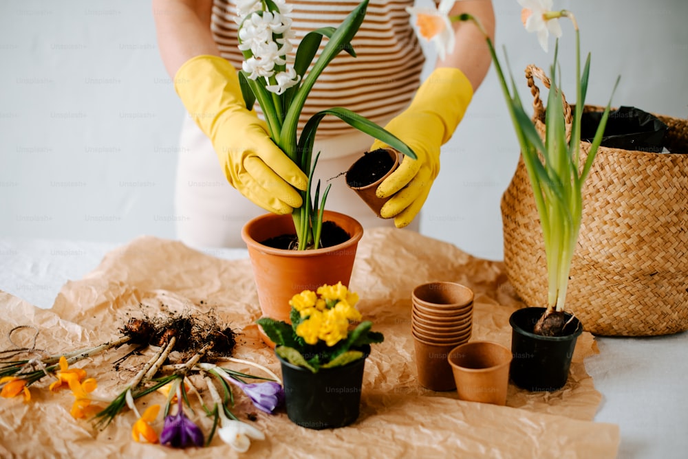 Una mujer con guantes amarillos y guantes amarillos está arreglando flores