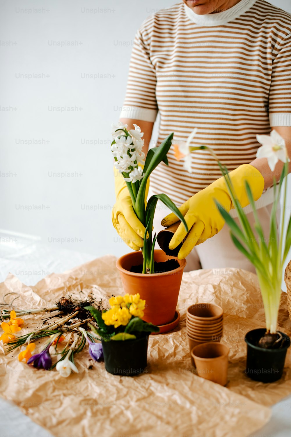 Une femme en gants jaunes nettoie une plante en pot