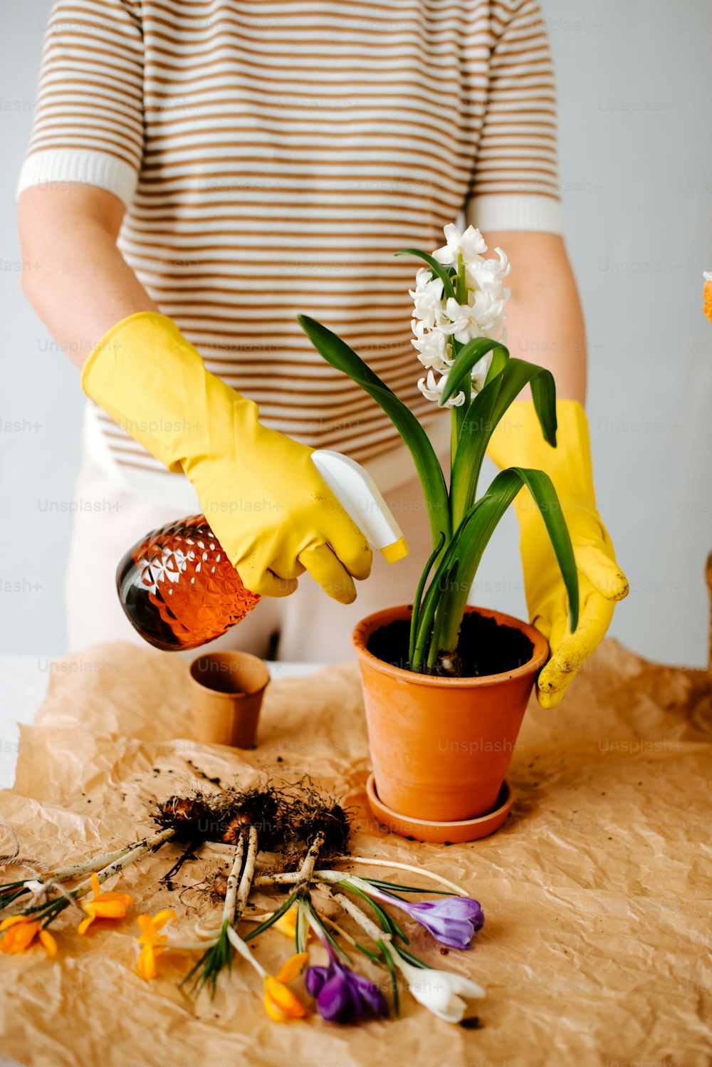 a person in yellow gloves is watering a potted plant
